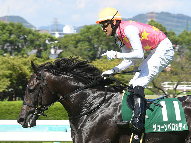 【阪神JS結果】ジューンベロシティが人気に応えて重賞連勝！