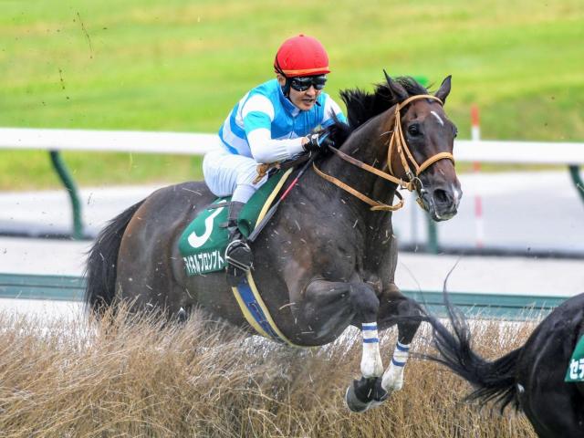 11歳馬マイネルプロンプトが平地競走最高齢勝利！