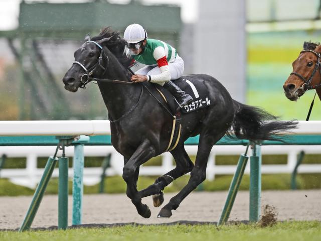 阪神大賞典予想】傾向から浮かび上がる的中のポイントは有馬記念と位置