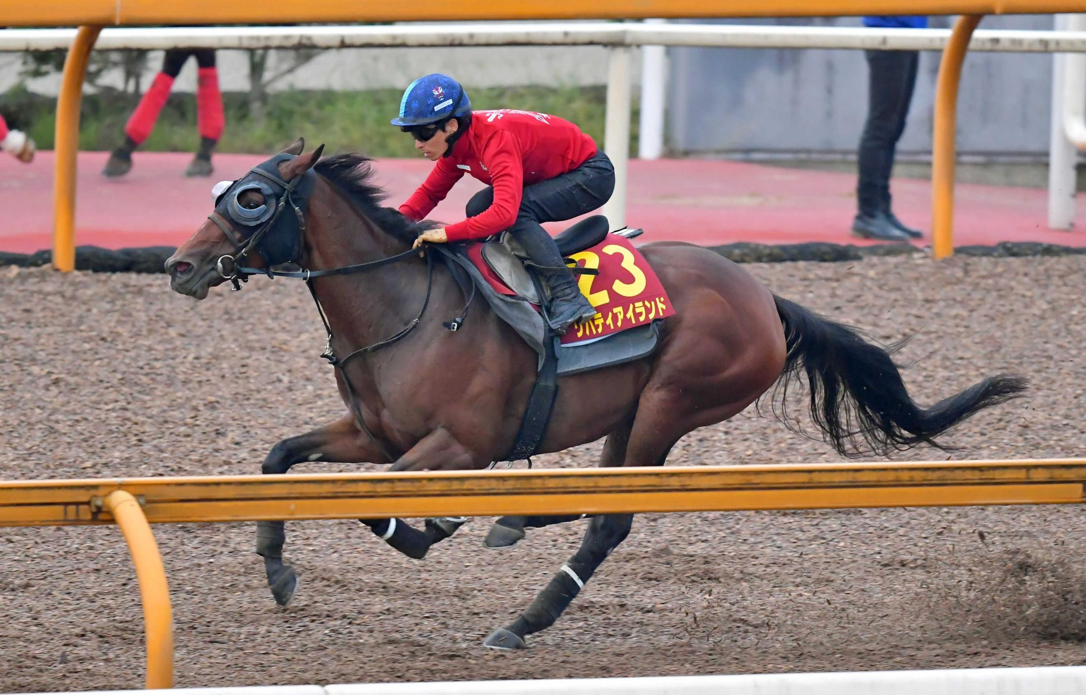 桜花賞 結果情報】 “モノが違う牝馬”リバティアイランドが桜の女王