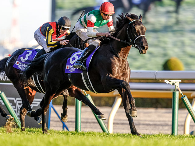 有馬記念2022 出走馬・騎手など最新情報 | 競馬まとめ - netkeiba.com