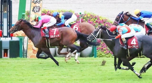 阪神大賞典予想】傾向から浮かび上がる的中のポイントは有馬記念と位置