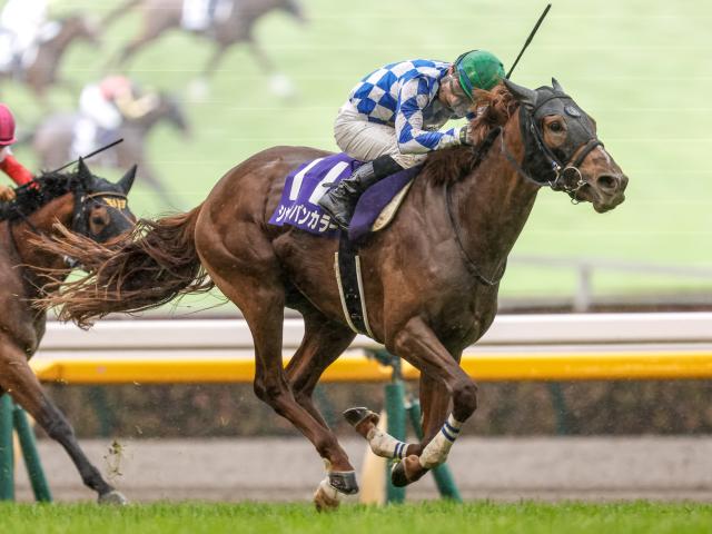 有馬記念2022 出走馬・騎手など最新情報 | 競馬まとめ - netkeiba.com