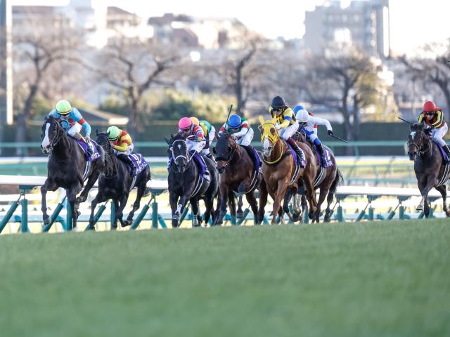 有馬記念2022 出走馬・騎手など最新情報 | 競馬まとめ - netkeiba.com