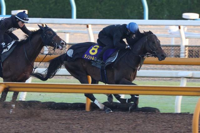 秋華賞2023結果情報】リバティアイランドが史上7頭目の牝馬三冠を達成