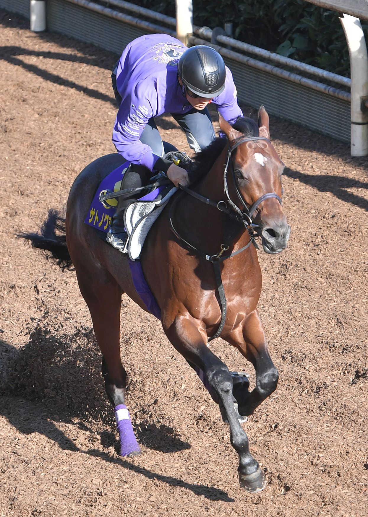 競馬ファンが選ぶ「思い出の有馬記念」は？最終結果発表！1位は1993年