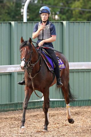 週刊GALLOP 誌上POG限定GⅠ優勝記念QUOカード☆2022朝日杯FS ドルチェ