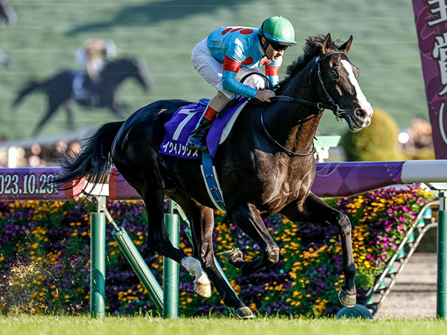 オンラインストア新作 競馬 イクイノックス引退記念 ミリタリー ...