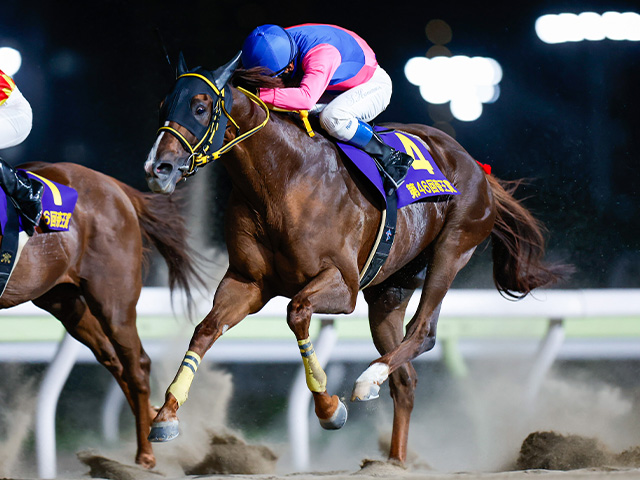 大井競馬 12/29東京大賞典指定席 ダイアモンドターン - 興行チケット