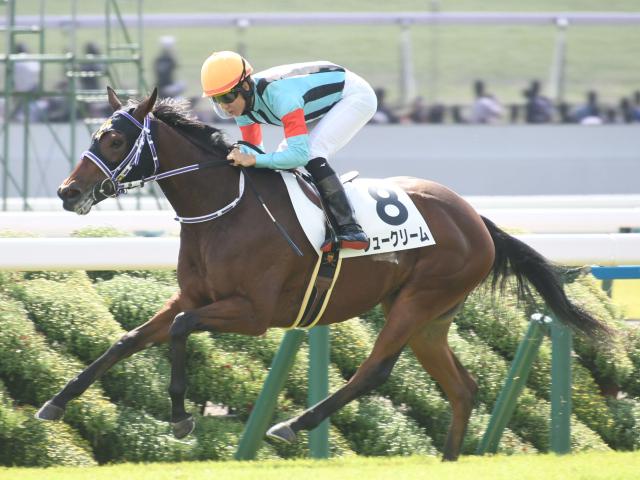 上質で快適 2022年 桜花賞 全出走馬 現地単勝馬券 ゆうパケットのみ