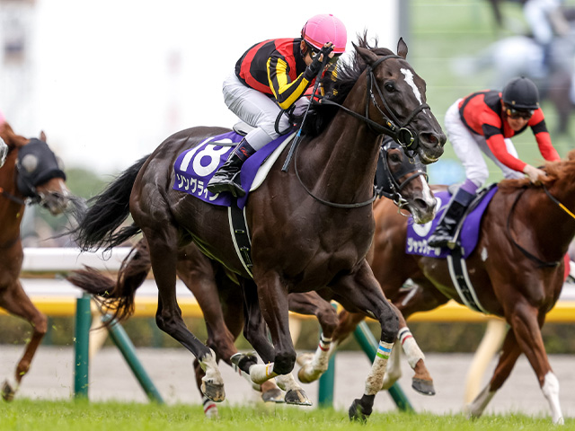 日本馬成績一覧】ブリーダーズ・カップ2023に出走した日本馬の着順 