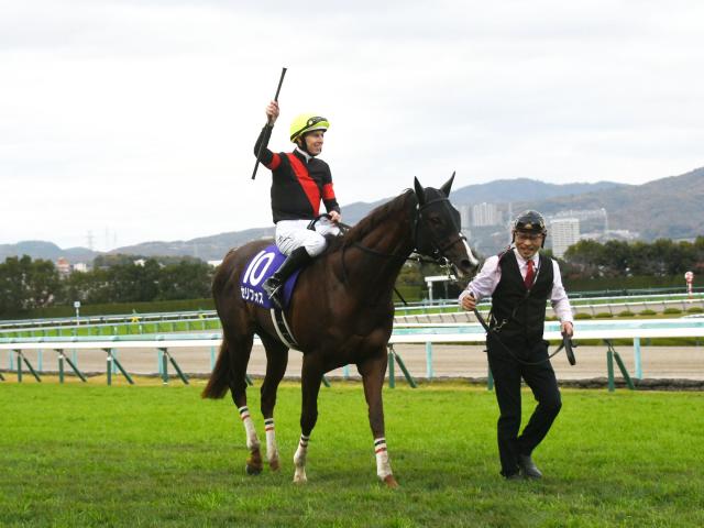 競馬 G1 セリフォス コート-