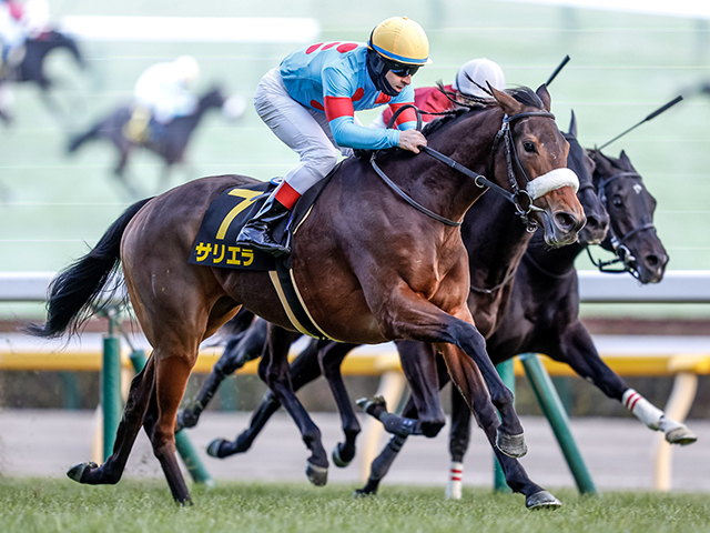 競馬ファンが選ぶ「思い出の有馬記念」は？最終結果発表！1位は1993年