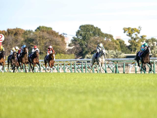 正規品質保証】 ☆JRA 競馬 天皇賞・秋バナー イクイノックス