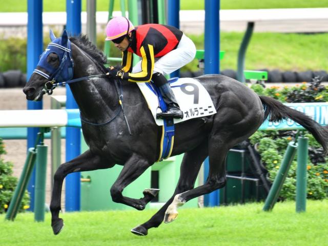 競馬ファンが選ぶ「思い出の有馬記念」は？第4回中間結果発表！2位2013