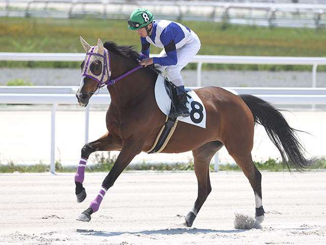 【地方競馬】日本最高齢の現役馬ヒカルアヤノヒメが心不全で死す