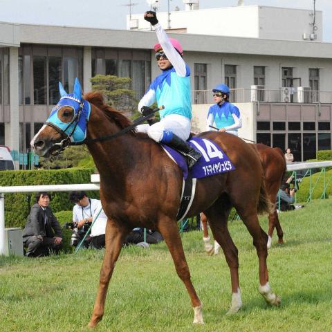 08年春の天皇賞馬アドマイヤジュピタ死す、20歳　老衰のため　友道厩舎のG1初制覇