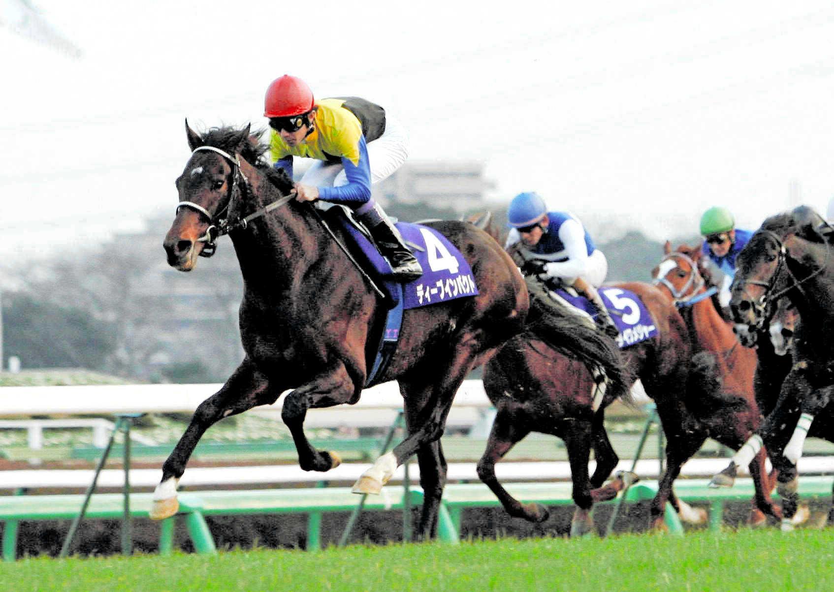 希少 武豊サイン入り 天皇賞優勝ディープインパクト馬券 - アイドル