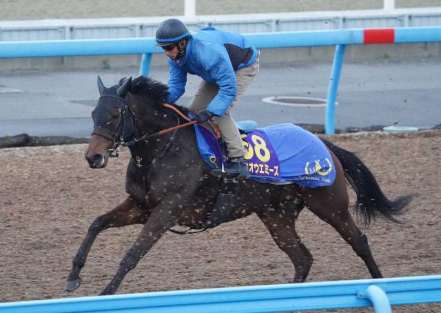 【有馬記念】ホウオウエミーズ　余力残しでキビキビと、池上師「有馬の舞台に立てるだけで感謝」
