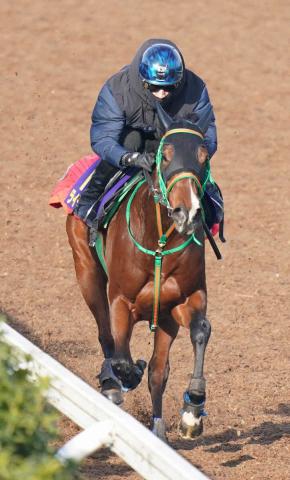 【有馬記念】ライラック　坂路最速タイで最高潮、相沢師「中山は合っている」