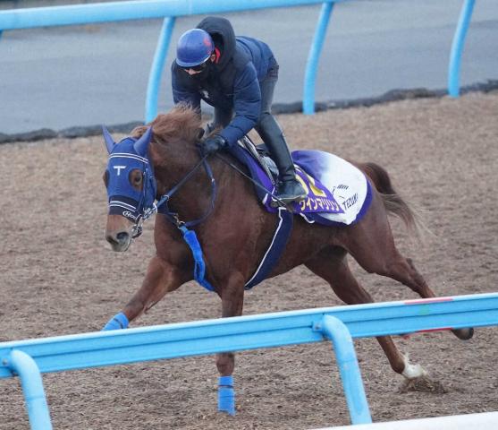 【有馬記念】ウインマリリン　力強い走りで反応上々、手塚師「中山2500メートルは相性ぴったり」