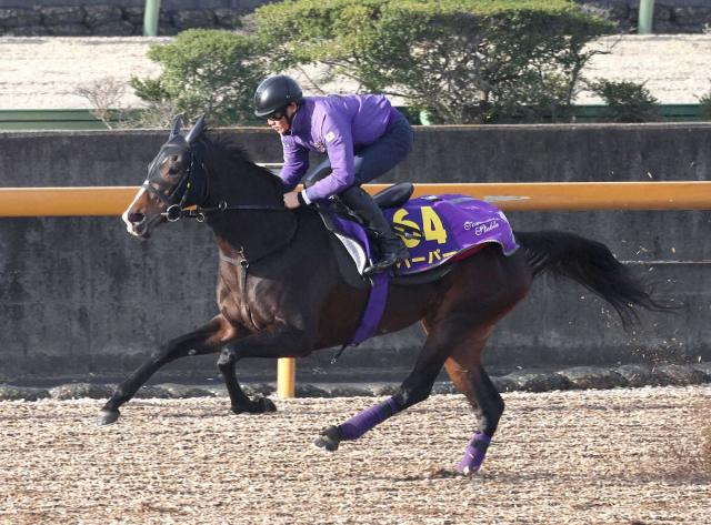 【有馬記念】ハーパー　加速スムーズ反応良し、友道師「この1年で成長しました」