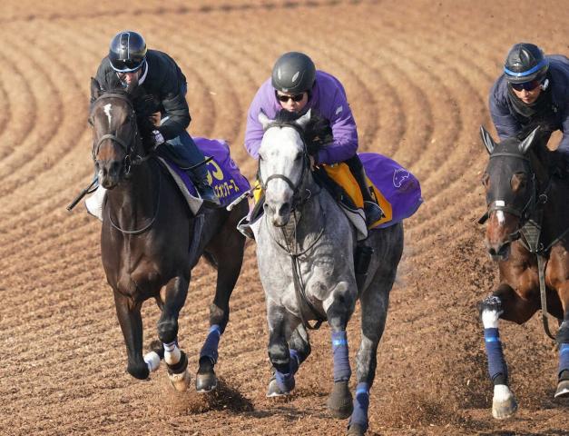 【有馬記念】スターズオンアース　リズミカルで出来究極!G1・6勝“ルメールの1年”締める