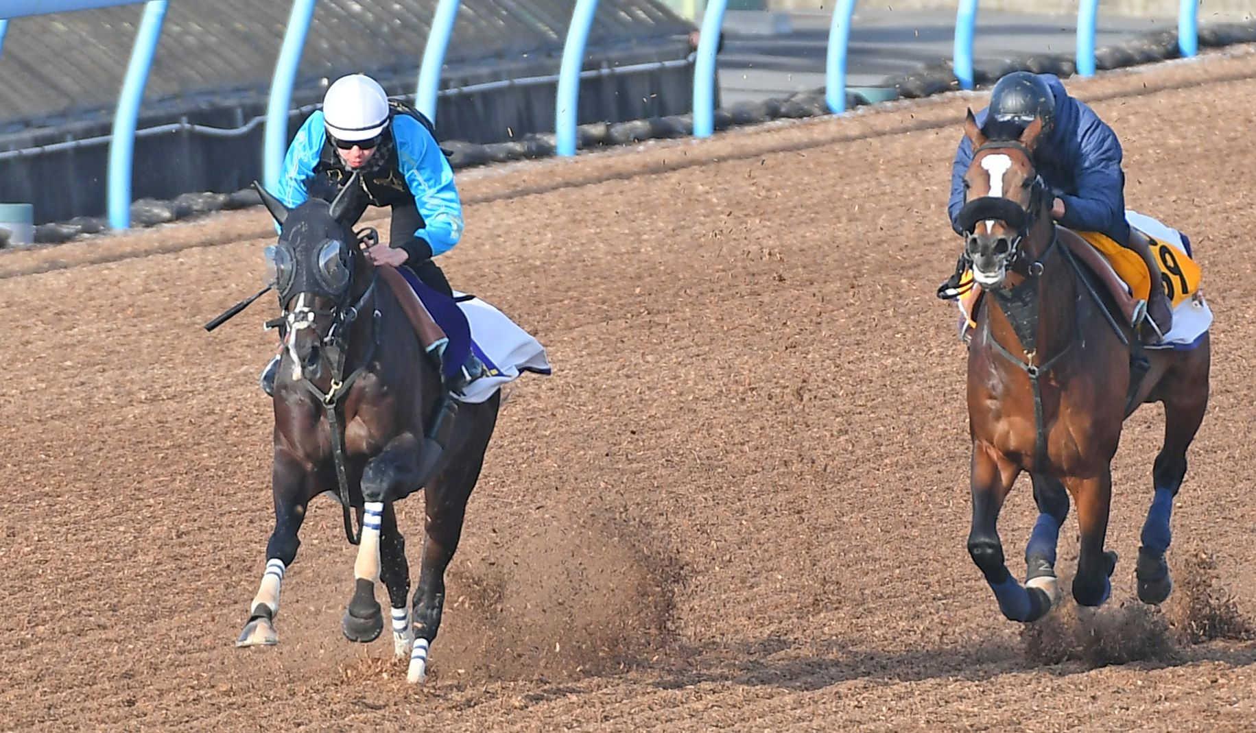 タイトルホルダー】2023年有馬記念 寛げ 現地がんばれ馬券