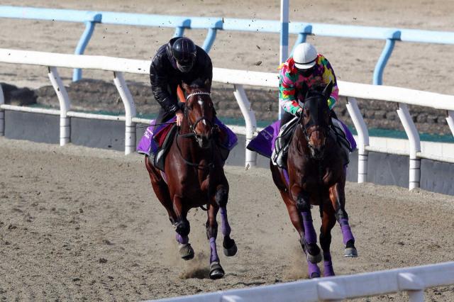 【有馬記念】ドウデュース細心仕上げ!首差遅れも手応え余裕、武豊「“ひと叩き”して良くなっている」