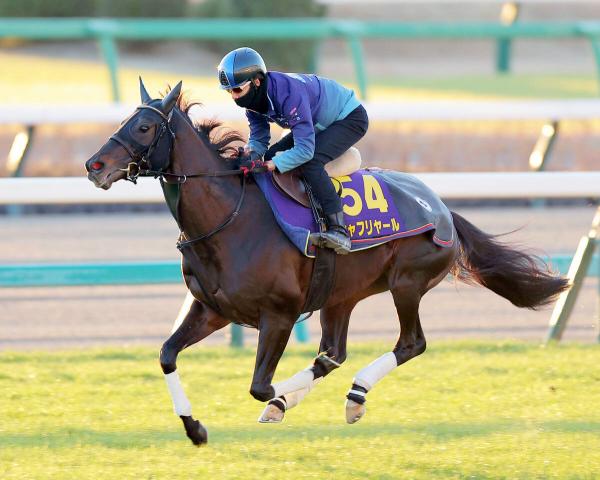 【有馬記念】シャフリヤールが中山競馬場の芝コースで加速十分の走り　松山弘平騎手も好感触「迫力のある動き」
