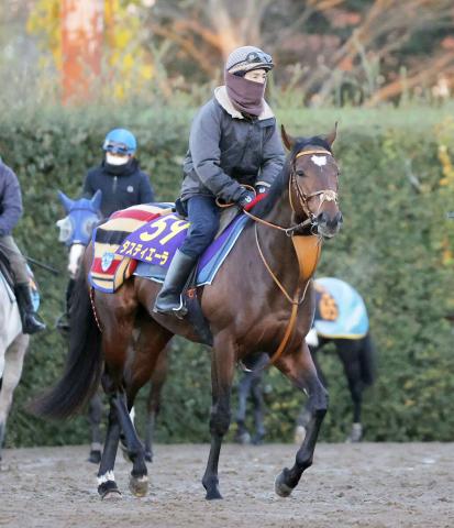 【有馬記念】今年のダービー馬タスティエーラにムーア騎手「馬がハッピー」コンタクトをとって好感触
