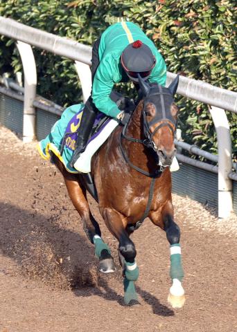 【有馬記念】アイアンバローズが大逃げも　陣営「守るよりも攻める競馬を」