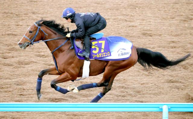 【有馬記念】ソールオリエンスは張りのある馬体　手塚調教師「変わりなくきているのが何より」