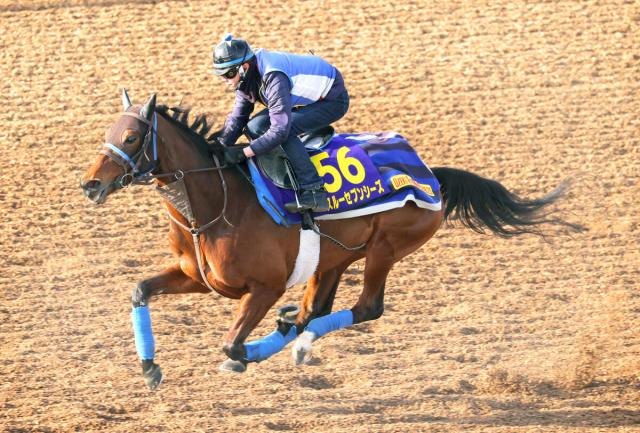 【有馬記念】凱旋門賞4着のスルーセブンシーズに尾関調教師「体調はいい感じです」　ダートコースで調整　