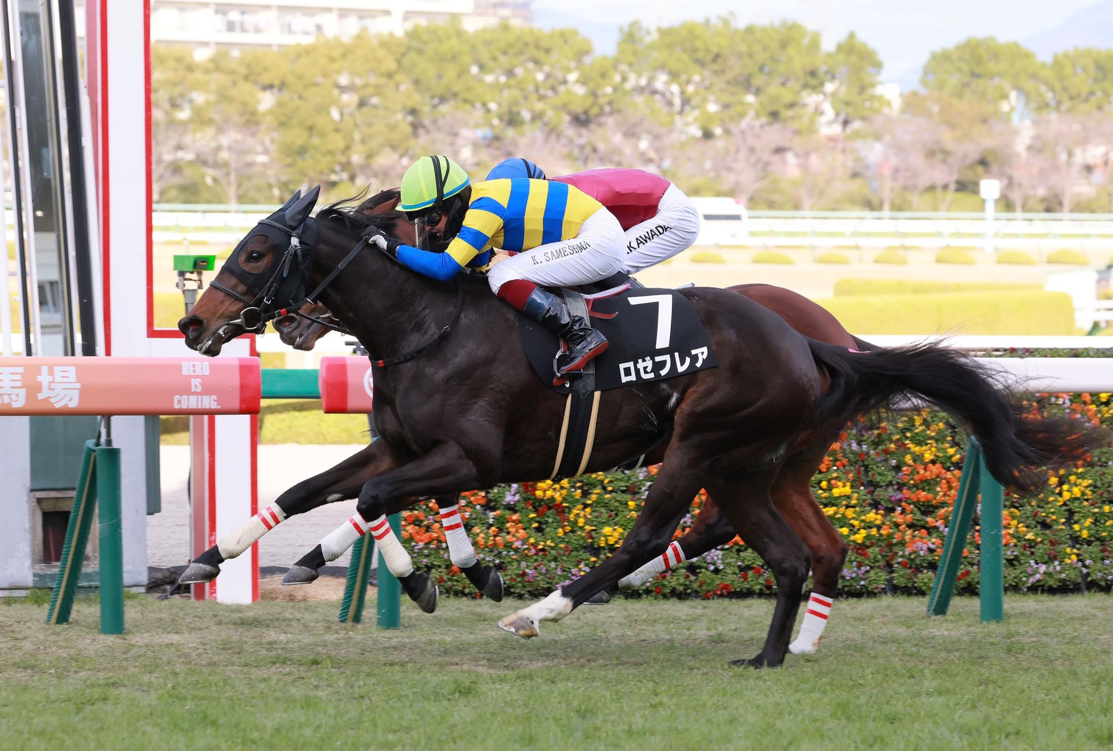 桜花賞 結果情報】 “モノが違う牝馬”リバティアイランドが桜の女王