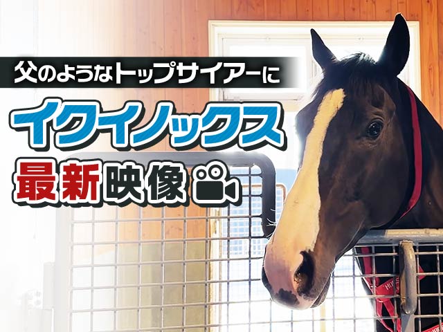 【最新情報】イクイノックスの今を社台スタリオンからお届け！