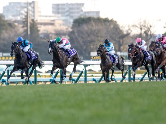 ホープフルS予想・過去10年データ】炙り出た複勝率100%！堅軸馬の条件とは？/競馬予想データ | 競馬まとめ - netkeiba