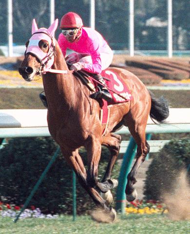 報知杯弥生賞を勝ったサクラエイコウオーが32歳で死す　小島太さん「ものすごく能力の高い馬だった」