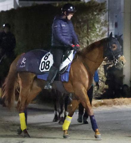 【根岸S】4連勝中サンライズフレイム重賞初制覇狙う　兄のドライスタウトときょうだい対決は幻に