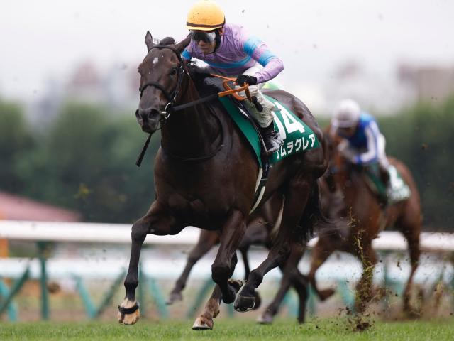 【京都牝馬S予想オッズ】ナムラクレアが予想1番人気