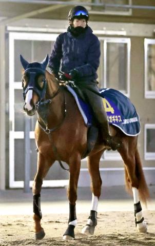【フェブラリーS】近年はキャリア8戦以内が抜群の成績　今年の期待馬はキャリア5戦オメガギネスだ