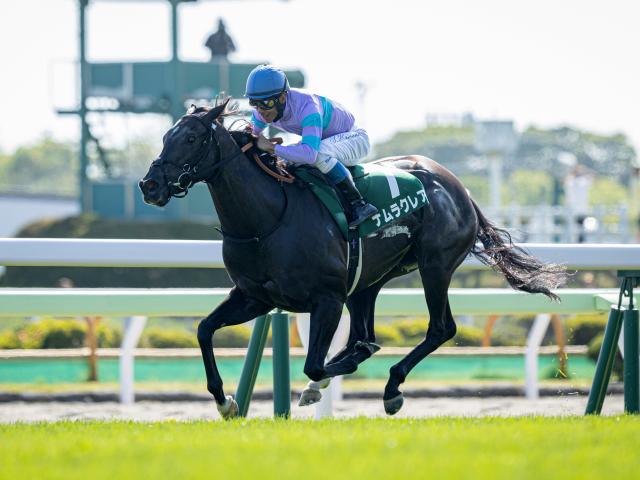 【京都牝馬S予想】ナムラクレアやメイケイエールなど好メンバー ヴィクトリアMに向けて各馬始動