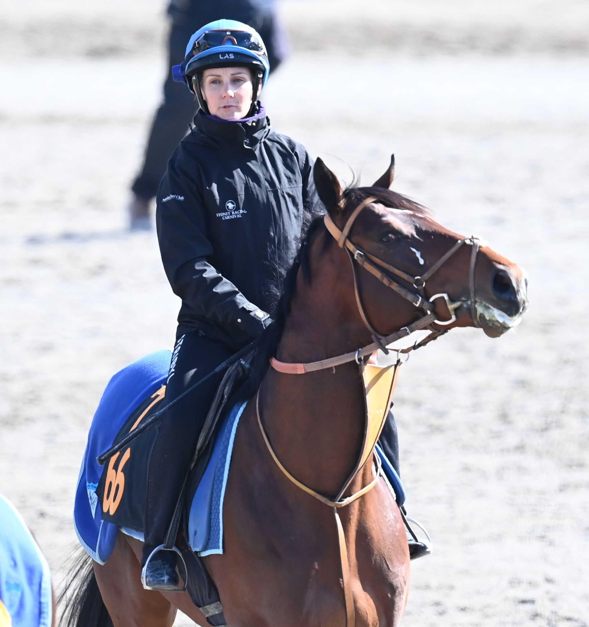 JRA 競馬 細江 純子 騎手 ジョッキーパンツ - その他