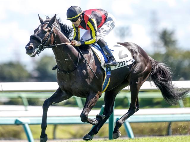 セットアップ JRA 競馬 二冠馬 ドゥラメンテ 第83回 日本ダービー