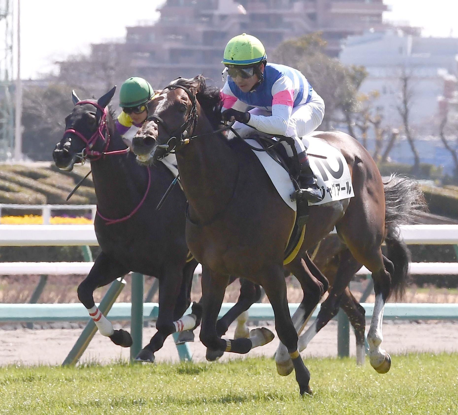 JRA 競馬 細江 純子 騎手 ジョッキーパンツ - その他