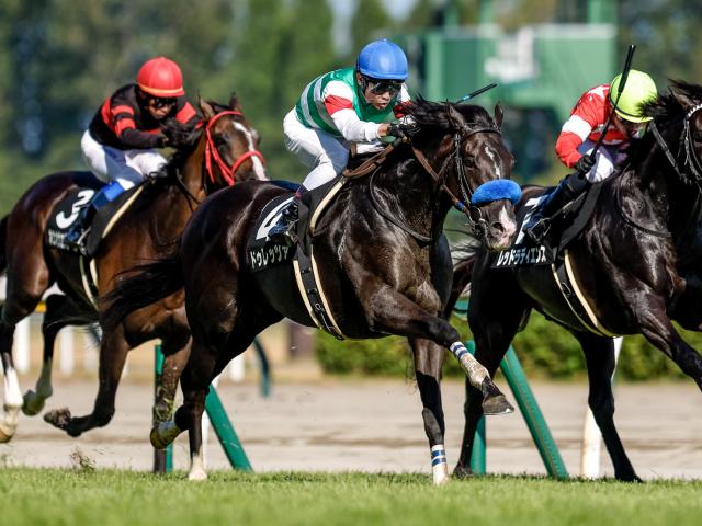 金鯱賞予想】過去10年のレース結果（1～3着馬）のデータ一覧/競馬予想