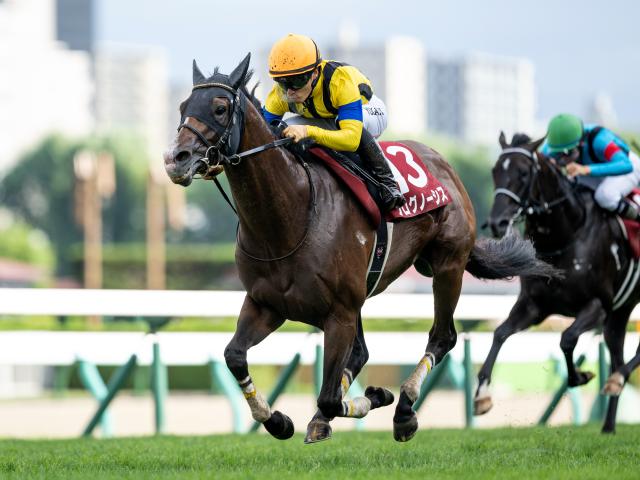 金鯱賞予想】過去10年のレース結果（1～3着馬）のデータ一覧/競馬予想