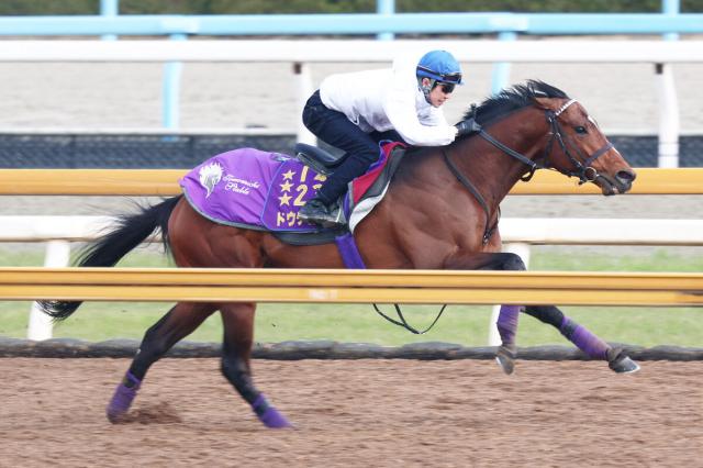 週間売れ筋 有馬記念 匿名送料無料☆第65回 GⅠ 即決！ 限定販売 中山