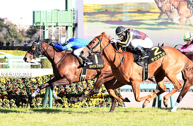 桜花賞予想】過去傾向からのポイントは前走とその着順！ 過去10年の