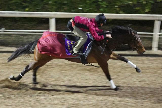 ドバイワールドカップデー2023結果一覧】日本馬V3！ ウシュバテソーロ 